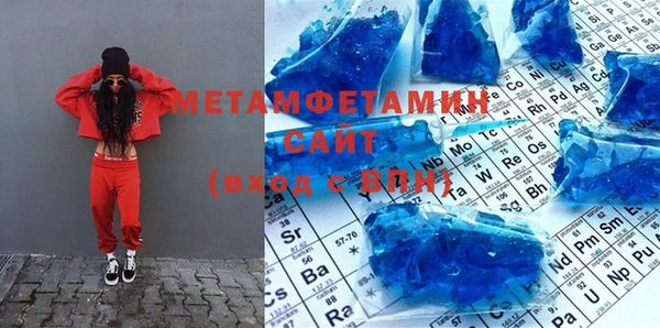 шишки Сосновый Бор