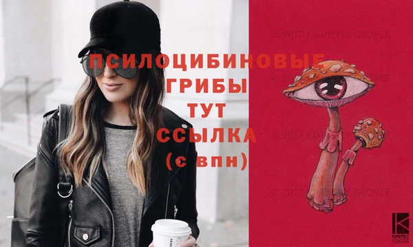 а пвп мука Богданович